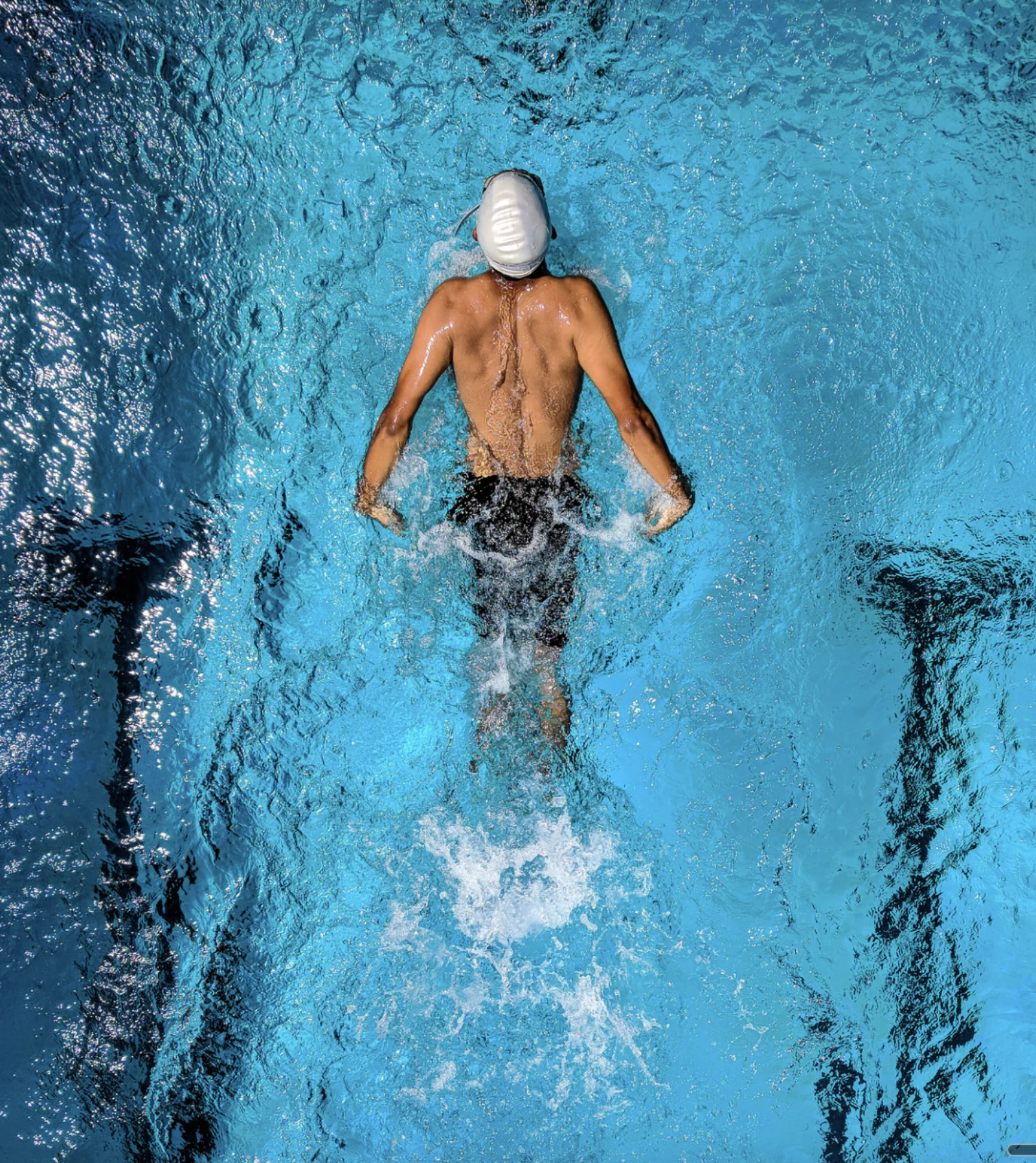 VISFES aquatic solutions